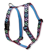 Lupine 1" Flower Power 20-32" Roman Harness