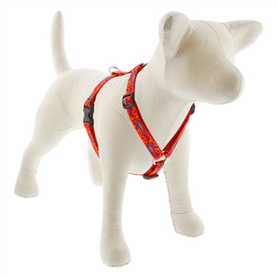 Lupine 3/4" Go Go Gecko 14-24" Roman Harness