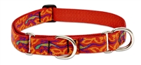 Lupine 1" Go Go Gecko 15-22" Martingale Training Collar