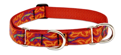 Lupine 1" Go Go Gecko 19-27" Martingale Training Collar