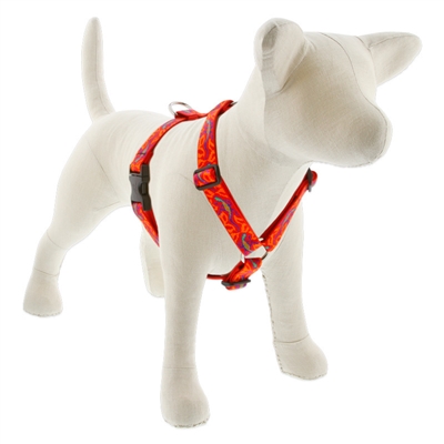 Lupine 1" Go Go Gecko Roman Harness