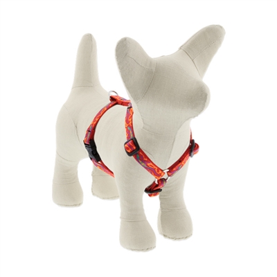 Lupine 1/2" Go Go Gecko Roman Harness