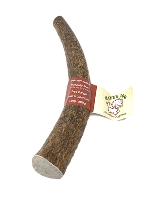 Happy Dog of Cape Cod Antler Chew - Jumbo Whole