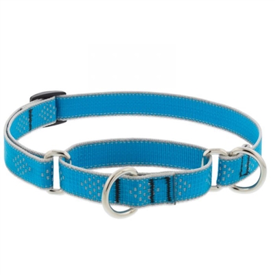 Lupine High Lights 3/4" Blue Diamond 14-20" Martingale Training Collar