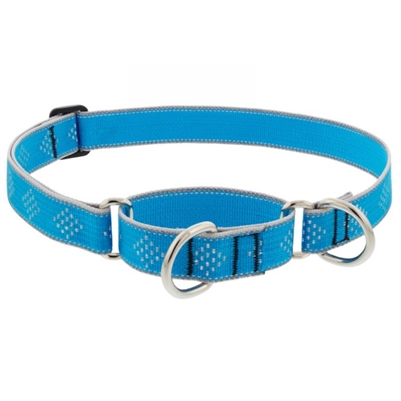 Lupine High Lights 1" Blue Diamond 15-22" Martingale Training Collar