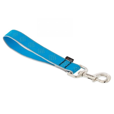 Lupine High Lights 1" Blue Diamond Training Tab