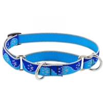 Lupine High Lights 3/4" Blue Paws 10-14" Martingale Training Collar