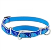 Lupine High Lights 3/4" Blue Paws 14-20" Martingale Training Collar