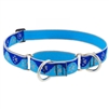 Lupine High Lights 1" Blue Paws 15-22" Martingale Training Collar