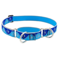 Lupine High Lights 1" Blue Paws 15-22" Martingale Training Collar