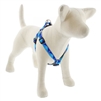 Lupine High Lights 3/4" Blue Paws 20-30" Step-in Harness