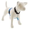 Lupine High Lights 1" Blue Paws 26-38" No-Pull Harness