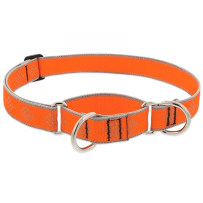 Lupine High Lights 1" Orange Diamond 15-22" Martingale Training Collar