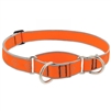 Lupine High Lights 1" Orange Diamond 19-27" Martingale Training Collar