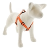 Lupine High Lights 1" Orange Diamond 19-28" Step-in Harness