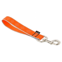 Lupine High Lights 1" Orange Diamond Training Tab