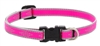 Lupine High Lights 1/2" Pink Diamond 10-16" Adjustable Collar