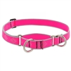 Lupine High Lights 1" Pink Diamond 19-27" Martingale Training Collar