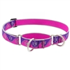 Lupine High Lights 1" Pink Paws 19-27" Martingale Training Collar