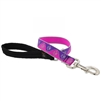 Lupine High Lights 1" Pink Paws 2' Traffic Lead