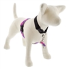 Lupine High Lights 1" Pink Paws 26-38" No-Pull Harness