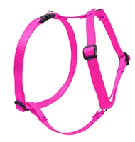 Lupine 3/4" Hot Pink 20-32" Roman Harness