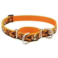 Lupine 1" Spooky 15-22" Martingale Training Collar