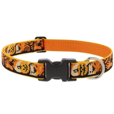 Retired Lupine 1" Spooky 16-28" Adjustable Collar