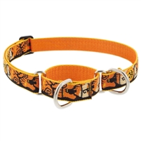 Lupine 1" Spooky19-27" Martingale Training Collar