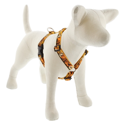 Lupine 1" Spooky 24-38" Roman Harness