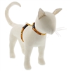 Lupine 1/2" Spooky 9-14" H-Style Cat Harness
