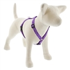 Lupine 3/4" Jelly Roll 12-20" Roman Harness