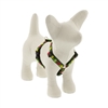 Lupine 1/2" Apple Season 9-14" Roman Harness