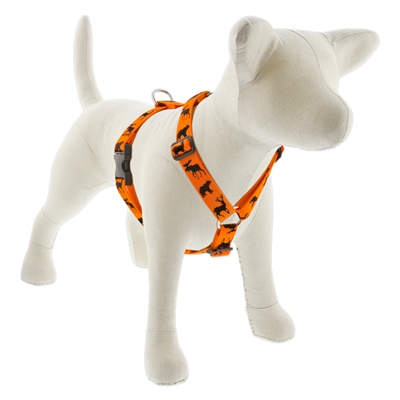 Lupine 1" Big Game 24-38" Roman Harness