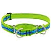 Lupine 1" Blue River 15-22" Martingale Training Collar