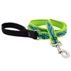 Lupine 1" Blue River 4' Long Padded Handle Leash