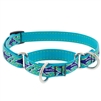 Retired Lupine 3/4" Dolphin Bay 14-20" Martingale Training Collar