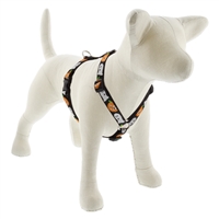 Lupine 3/4" Ghost 14-24" Roman Harness