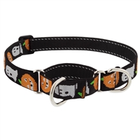 Lupine 1" Ghost 19-27" Martingale Training Collar