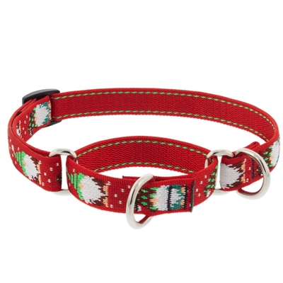 Retired Lupine 3/4" Gnomes 14-20" Martingale Training Collar