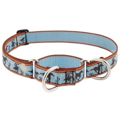 Retired Lupine 1" Giddyup 15-22" Martingale Training Collar