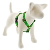 RETIRED Lupine 1" Happy Holidays Green 20-32" Roman Harness