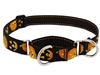 Retired Lupine 1" Jack O Lantern 15-22" Martingale Training Collar