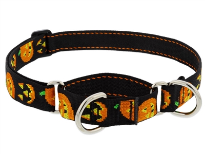 Retired Lupine 1" Jack O Lantern 15-22" Martingale Training Collar