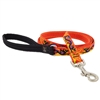 Lupine 3/4" Lucky Dragon 4' Padded Handle Leash