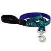 Retired Lupine 1" Lucky 4' Long Padded Handle Leash