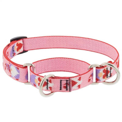 Lupine 3/4" Lovable Gnomes 14-20" Martingale Training Collar
