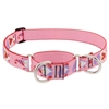 Lupine 1" Lovable Gnomes 19-27" Martingale Training Collar