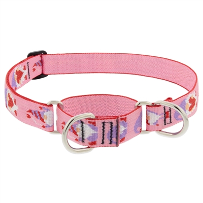 Lupine 1" Lovable Gnomes 19-27" Martingale Training Collar