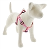 Lupine 1" Lovable Gnomes 19-28" Step-in Harness